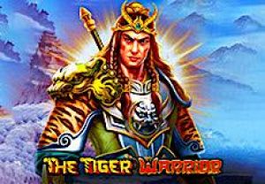 General information about The Tiger Warrior slot