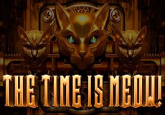 The Time is Meow logo