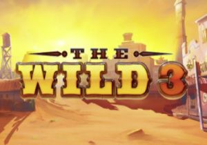 General information about The Wild 3 slot