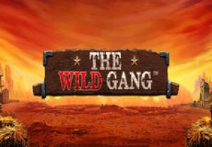 General information about The Wild Gang slot