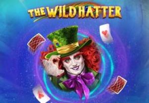 General information about The Wild Hatter slot