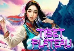 General information about Tibet Plateau slot