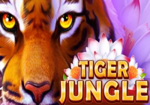 General information about Tiger Jungle slot