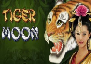 General information about Tiger Moon slot