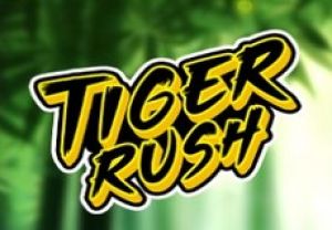 General information about Tiger Rush slot