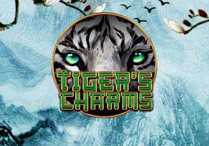 General information about Tiger's Charms slot