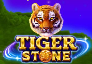 General information about Tiger Stone slot