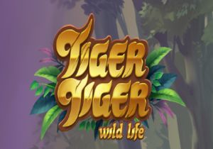 General information about Tiger Tiger Wild Life slot