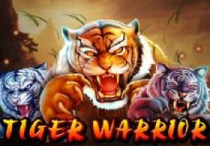 General information about Tiger Warrior slot