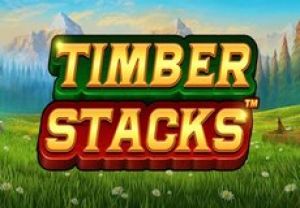 General information about Timber Stacks slot