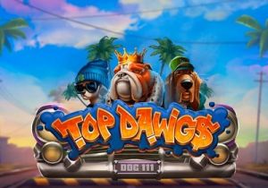 General information about Top Dawg$ slot