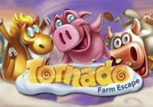 General information about Tornado: Farm Escape slot