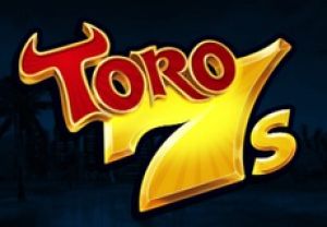 General information about Toro 7s slot