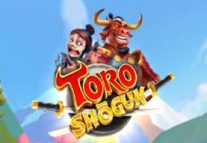 General information about Toro Shogun slot