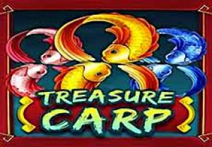 General information about Treasure Carp slot