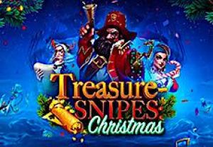 General information about Treasure-snipes Christmas slot