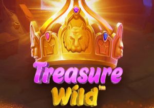 General information about Treasure Wild slot