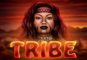 General information about Tribe slot