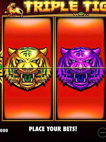 Triple Tigers