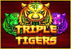 General information about Triple Tigers slot