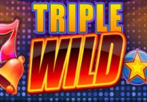 General information about Triple Wild slot