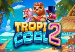 General information about Tropicool 2 slot