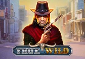 General information about True Wild slot