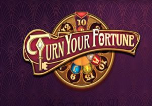 General information about Turn your Fortune slot