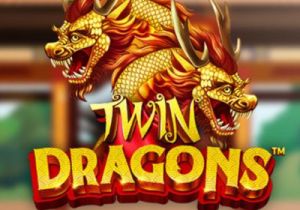 General information about Twin Dragons slot