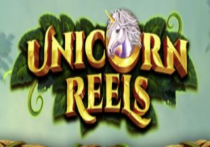 General information about Unicorn Reels slot