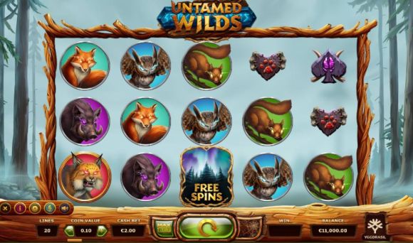 Untamed Wilds