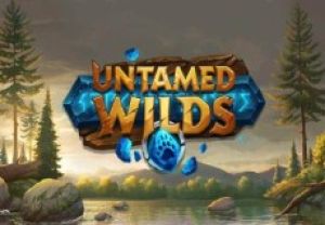 General information about Untamed Wilds slot