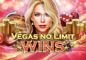 General information about Vegas No Limit Wins slot