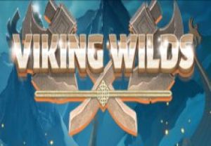 General information about Viking Wilds slot