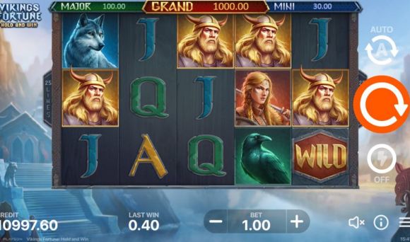 Vikings Fortune: Hold and Win