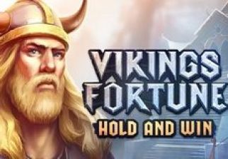 Vikings Fortune: Hold and Win logo