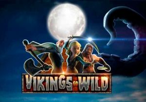 General information about Vikings Go Wild slot