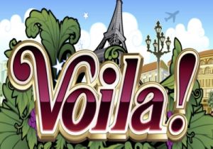 General information about Voila! slot