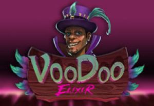 General information about Voodoo Elixir slot