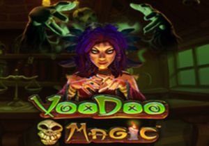 General information about Voodoo Magic slot