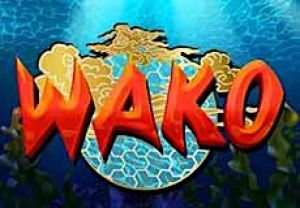 General information about Wako slot