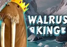 Walrus King