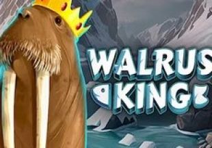 General information about Walrus King slot