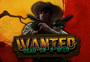 General information about Wanted Dead or a Wild slot