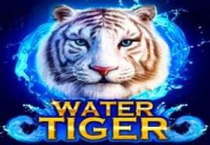 General information about Water Tiger slot