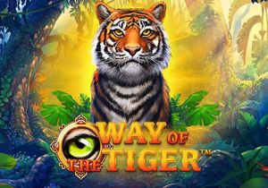 General information about Way of the Tiger slot