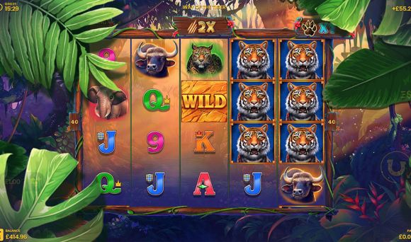 Way of the Tiger