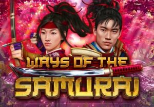 General information about Ways of the Samurai slot