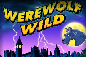 Night of the Werewolf Mobile Slot Review