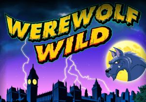 General information about Werewolf Wild slot